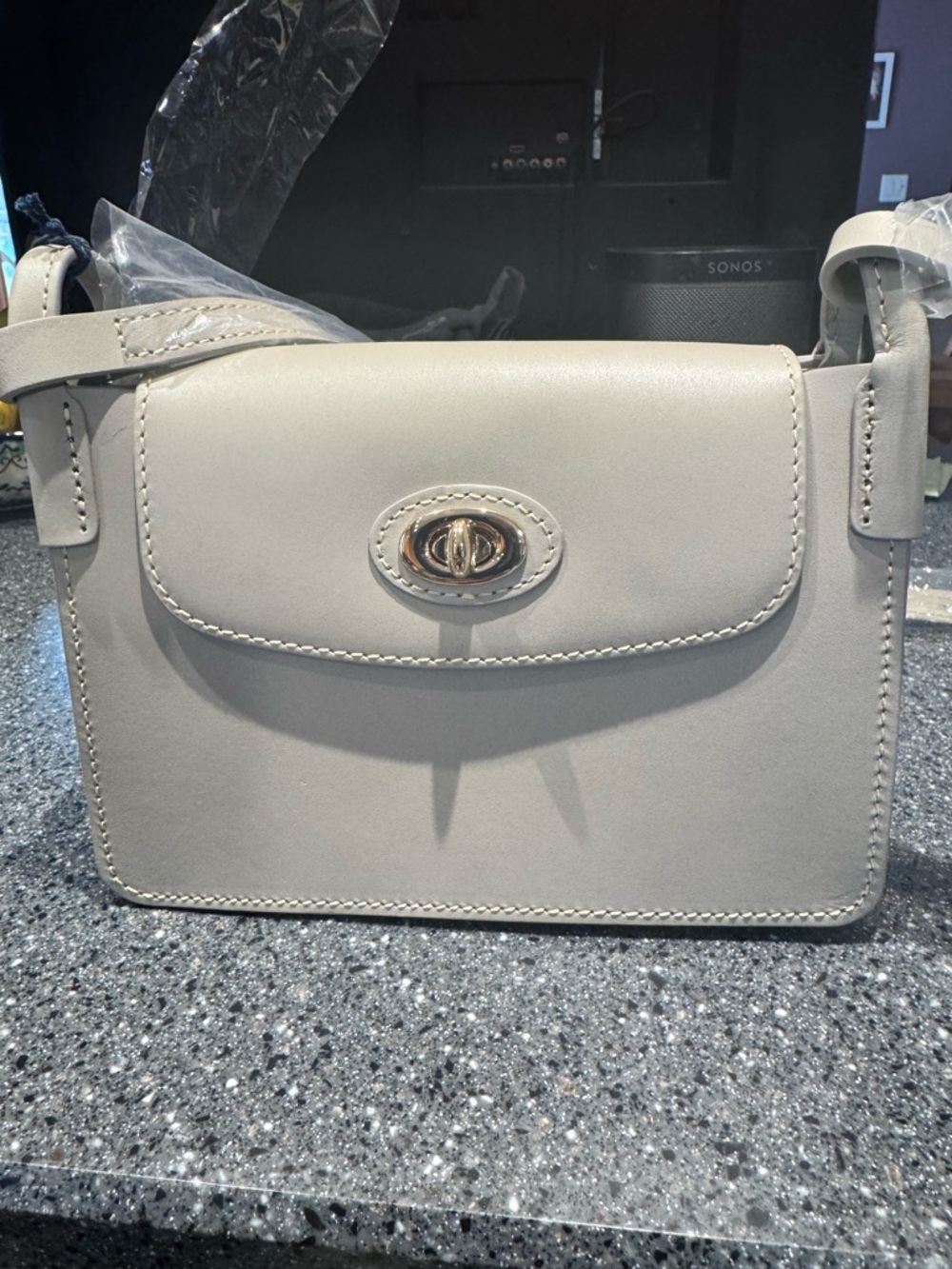 Dooney & Bourke Pinky Bag in Dove Grey Leather Crossbody with Gold Turn-Lock